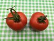 ZTOTGMIDUME Tomato Miel du Mexique 10 seeds TessGruun