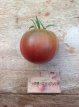 ZTOTGMOR Tomate Morado 10 semillas TessGruun