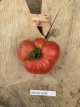 ZTOTGNEBIDW Tomate New Big Dwarf 5 graines