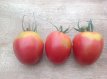 ZTOTGODSD Tomato Olirose De Saint-Domingue 10 seeds TessGruun