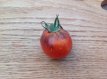 ZTOTGORBL Tomaat Orange Blue 10 zaden TessGruun