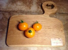 ZTOTGORBO Tomate Orange Bourgoin 10 semillas TessGruun