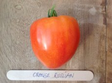 ZTOTGORRU Tomate Orange Russian 10 semillas TessGruun