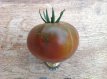 ZTOTGPAURO Tomato Paul Robeson 10 seeds TessGruun