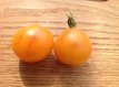 ZTOTGPIE Tomato Piedmont 10 seeds TessGruun