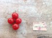 ZTOTGPO Tomato Pokusa 10 seeds TessGruun