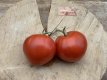 ZTOTGPUNZ Tomate Punzones 10 samen