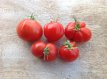 Tomato Reisetomate 10 seeds TessGruun