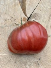 ZTOTGRIDEMO Tomato Risado de Moratalla 10 seeds