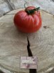 ZTOTGRIOJA Tomate Riojana 10 semillas