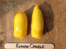 Tomaat Roman Candle 10 zaden TessGruun