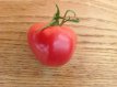 ZTOTGRODEBE Tomate Rose de Berne 10 graines TessGruun