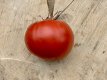 ZTOTGRODECO Tomato Rouge de Corse 10 seeds