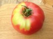 Tomato Rosa De Hijar 10 seeds TessGruun