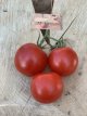 ZTOTGRODEHU Tomato Roi Humbert 10 seeds