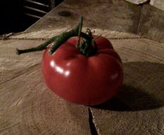 ZTOTGRODENA Tomato Rouge de Namur 10 seeds