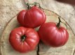 ZTOTGROLEHE Tomato Rojo Leo Herencia 10 seeds