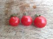 ZTOTGROMU Tomate Rote Murmel 10 samen TessGruun