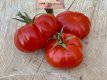 ZTOTGROSITO Tomato Rosso Sicilian Togeta 10 seeds