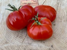 ZTOTGROSITO Tomate Rosso Sicilian Togeta 10 semillas