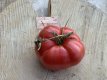 ZTOTGSAMO Tomato Samdul Moldovan 10 seeds