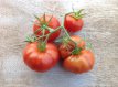 ZTOTGSAPA Tomato Santorini Paste 10 seeds TessGruun