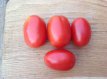 ZTOTGSASLKR Tomato Sacharnaja Sliwa Krasnaja 10 seeds TessGruun