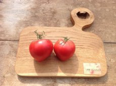 ZTOTGSGPE Tomate SGT Pepper’s 10 semillas TessGruun