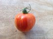 Tomato Siberian Apple / Siberische Appeltomaat 10 seeds TessGruun