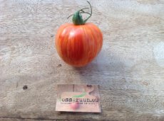 Tomato Siberian Apple / Siberische Appeltomaat 10 seeds TessGruun