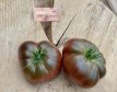 ZTOTGSINIY Tomate Siniy 10 semillas