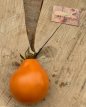 ZTOTGSIORPE Tomato Siberian Orange Pear 10 seeds