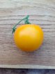 ZTOTGSIYETI Tomato Sinks Yellow Tits 10 seeds Tessgruun