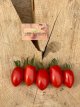 ZTOTGSPR Tomate Sprite 5 semillas TessGruun