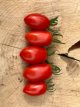 ZTOTGSPR Tomate Sprite 5 graines TessGruun