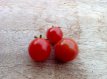 ZTOTGSWBA Tomate Sweet Baby 10 semillas TessGruun