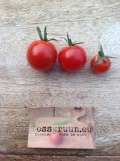 ZTOTGSWBA Tomato Sweet Baby 10 seeds TessGruun