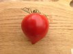 ZTOTGTEDEVEB Tomate Téton de Vénus Rouge 5 semillas organico TessGruun