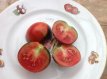 ZTOTGTESH Tomate Tess Shangai 10 semillas