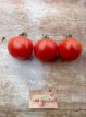 ZTOTGTI Tomate Tigerella 10 graines TessGruun