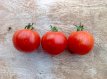 ZTOTGTI Tomate Tigerella 10 semillas TessGruun
