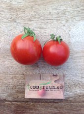 ZTOTGTI Tomate Tigerella 10 semillas TessGruun