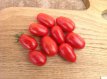 ZTOTGTO Tomato Torrito 10 seeds TessGruun