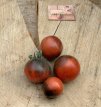ZTOTGWOBLJA Tomate Wooly Blue Jay 10 graines TessGruun