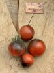 ZTOTGWOBLJA Tomato Wooly Blue Jay 10 seeds TessGruun