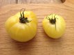 ZTOTGYEPA Tomaat Yellow Paste 10 zaden TessGruun