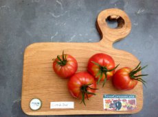 Tomato Cuor Di Bue 10 samen TessGruun