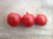 ZTOTGBLBU Tomato Bloody Butcher 10 seeds TessGruun