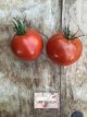 ZTOTSKALJEW Tomate Kaleidoscopic Jewel 5 graines