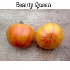 Tomato Beauty Queen 5 samen TessGruun